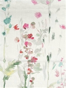 Besler Rose Watercolor Chinoiserie
